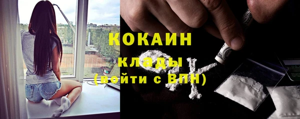 сатива Ладушкин