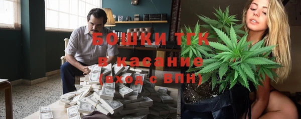 сатива Ладушкин