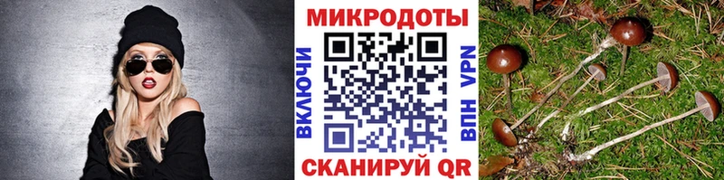 Галлюциногенные грибы MAGIC MUSHROOMS Оренбург