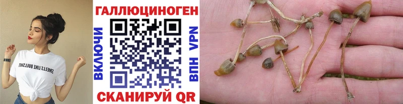 Галлюциногенные грибы GOLDEN TEACHER  Купить где  Оренбург 